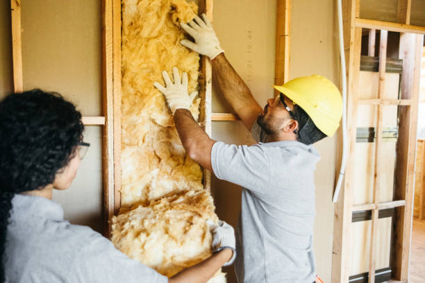Insulation Repair Services in Cedar Bluff, VA