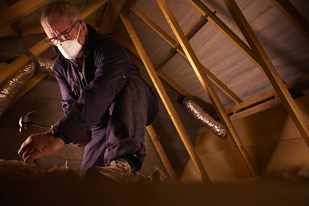 Best Insulation Contractors for Homes  in Cedar Bluff, VA