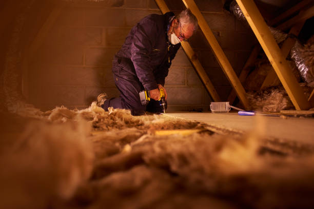 Best Insulation Contractor Near Me  in Cedar Bluff, VA